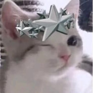 habib [BOT]'s avatar