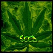 seeds [BOT]'s avatar